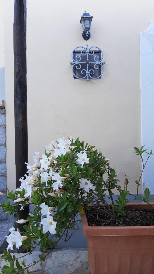 Villa La Sciuscella à Conca dei Marini Extérieur photo